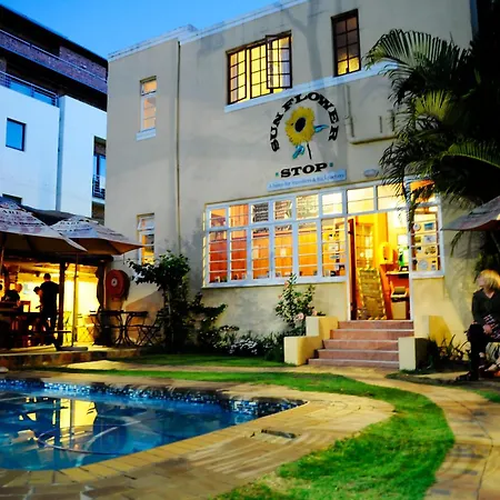 A Sunflower Stop Backpackers-3